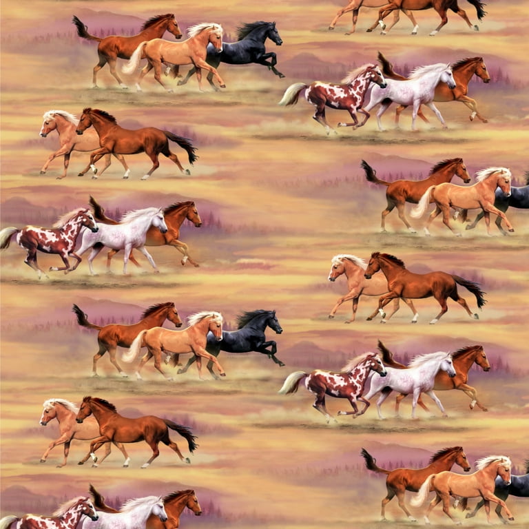 REVEL & Co Western Horses Birthday Gift Wrap by Hoot LeRoux—Horse Wrapping  Paper Folded flat, 27 x 39 inches—Cowboy Wrapping Paper with Horses, Cowboy