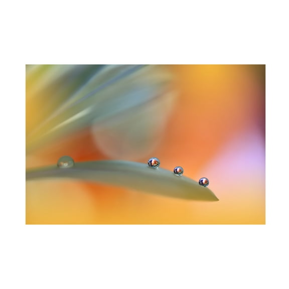 Trademark Fine Art Juliana Nan A Colorful World III Canvas Wall Art