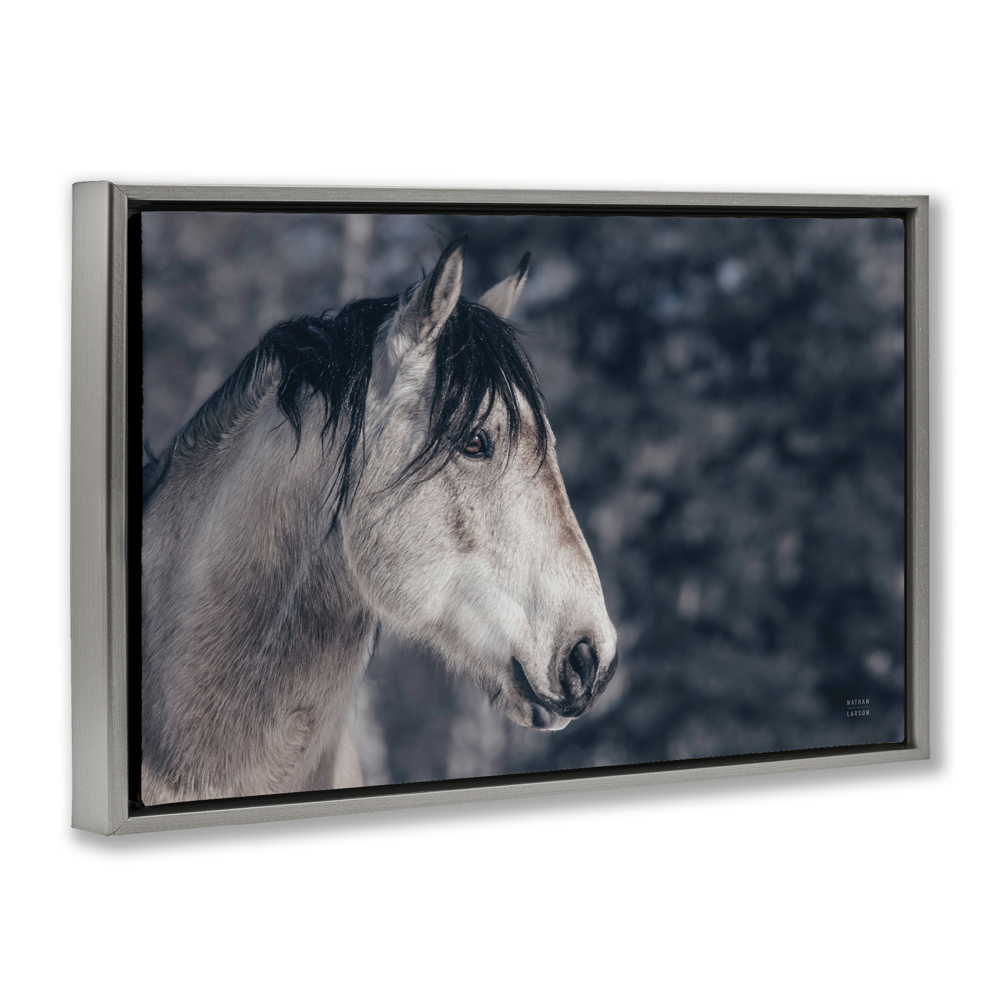 Stupell Industries Intense Gaze Stallion Animals & Insects Photography Gray Floater Framed Canvas Art Print Wall Art, 25 x 17