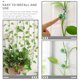 thumbnail image 3 of unbranded 20Ud Clips Para Plantas De Pared De Plástico Soporte Para Plantas Trepadoras Jardín, 3 of 8