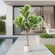 thumbnail image 2 of Yeshouse Higuera artificial de hoja de violín en maceta, planta grande de hoja de violín falsa para decoración de interiores, árbol alto en maceta artificial para sala de estar, oficina y entrada, 2 of 7