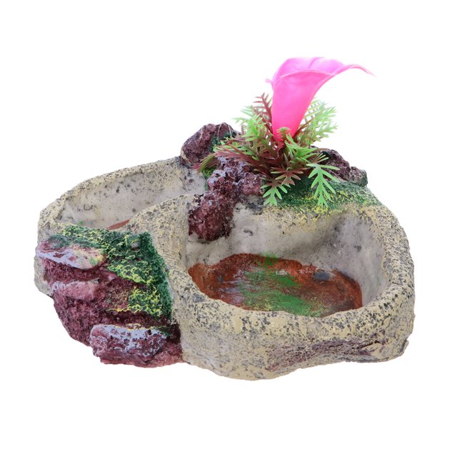 EeaseMX 1 comedero con diseño de cactus para mascotas, bebedero para reptiles, comedero para orugas, suministros para reptiles, tortugas, tortugas de agua, lagartos y serpientes.