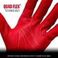 thumbnail image 4 of Franklin NATURAL® II HI-LITE BATTING GLOVES, 4 of 4