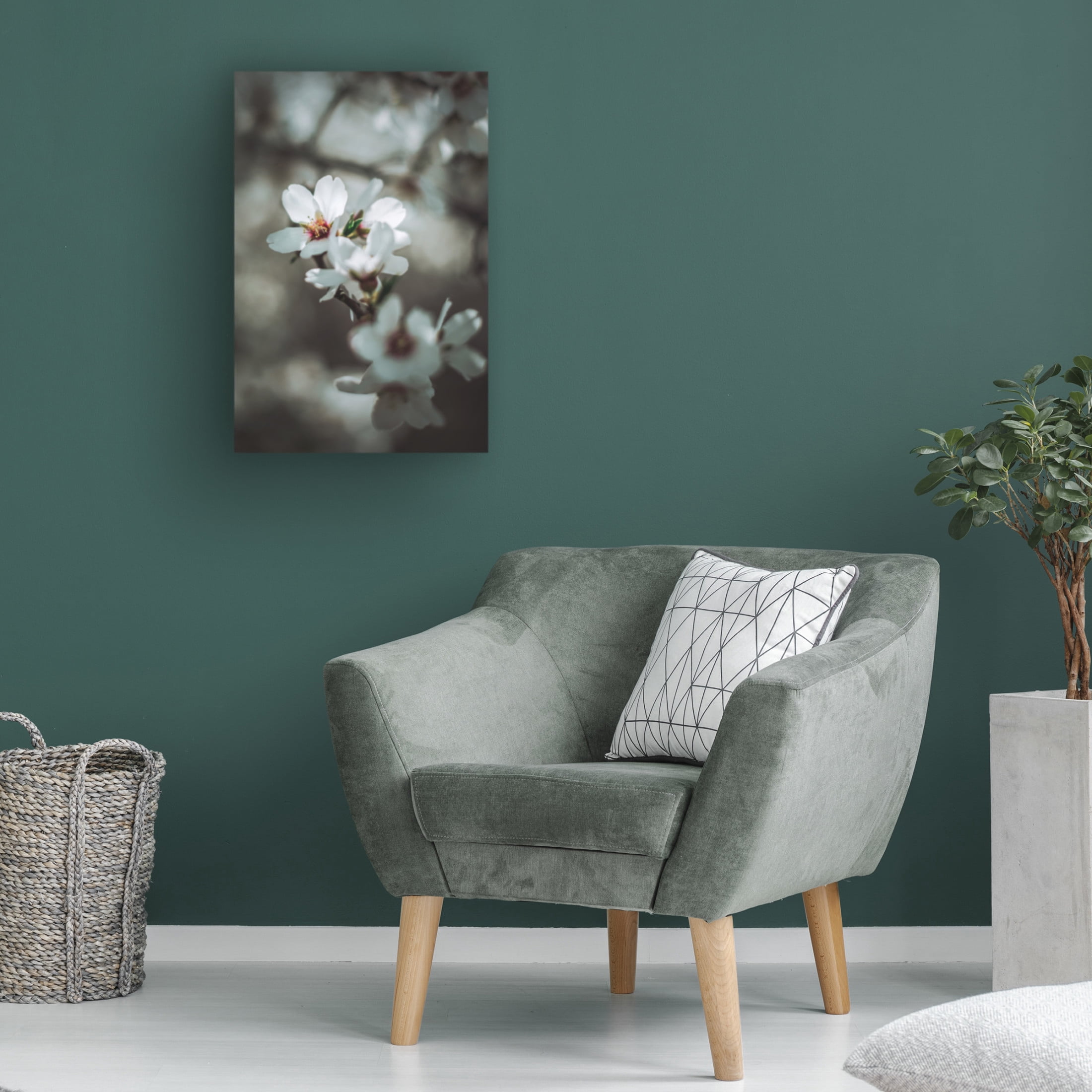 Trademark Fine Art Tim Mossholder Almond Blossoms Canvas Wall Art