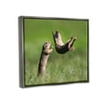 thumbnail image 4 of Stupell Industries Prairie Dogs Photography Animals & Insects Photography Gray Floater Framed Canvas Art Print Wall Art, 31 x 25, 4 of 10