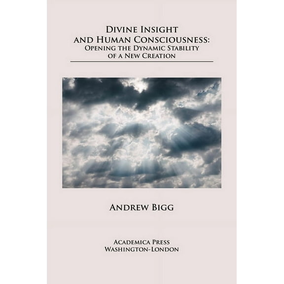 Divine Insight and Human Consciousness : Opening the Dynamic Stability of a New Creation (Hardcover)