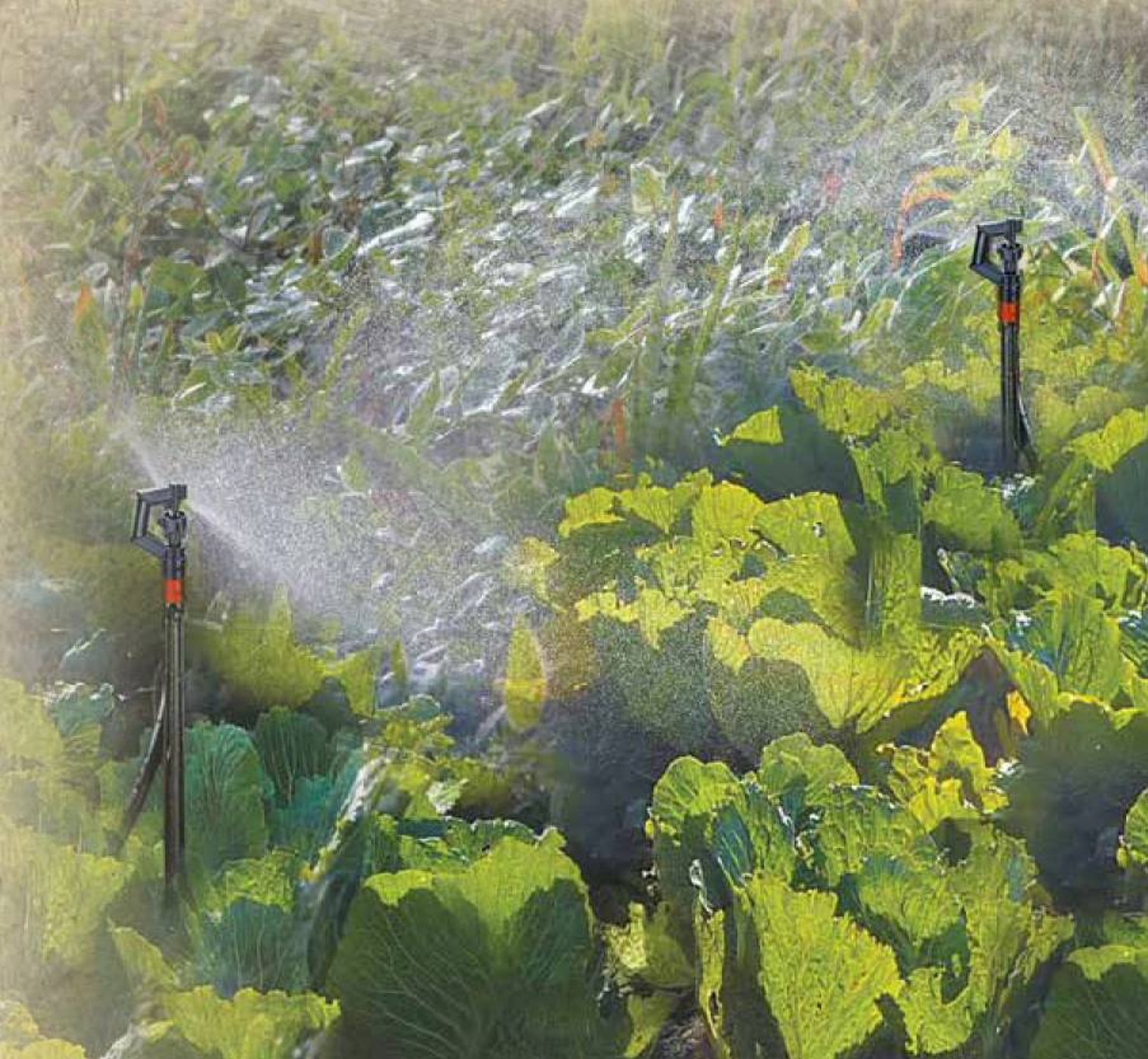 GENESIS 20FT Micro Sprinkler Watering System