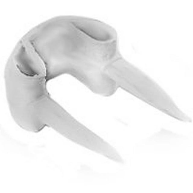 Gardner Bender MSW Agrafe de Câble Isolée, 1/8 Po Couronne, Fibre, Blanc