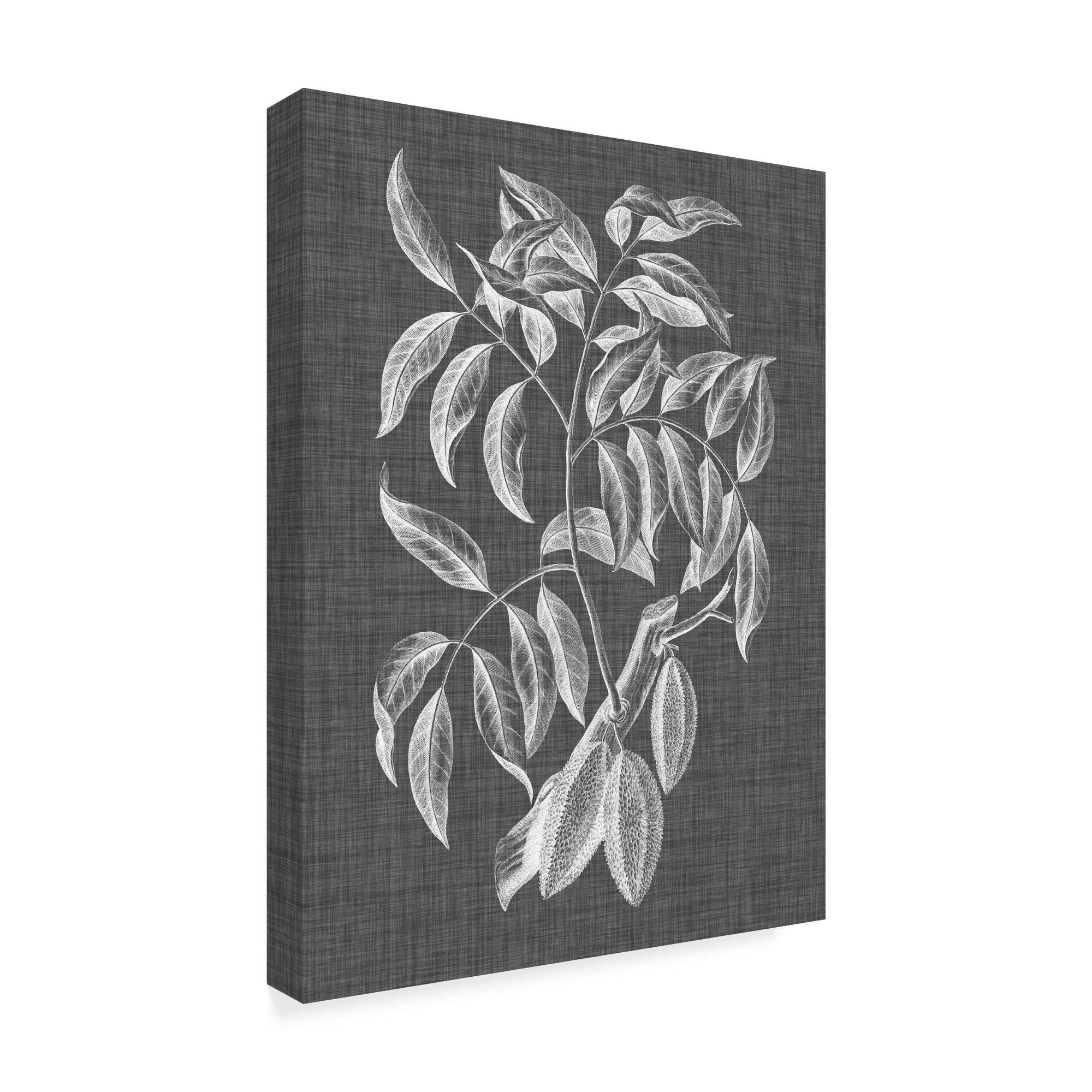 Trademark Fine Art 'Graphic Foliage III' Canvas Art by Vision Studio