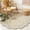 Ivory/Beige, variant on SAFAVIEH Novelty Mordikai Floral Area Rug, Ivory/Beige, 5' x 5' Round