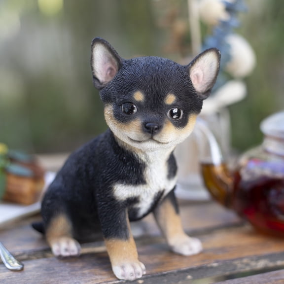 SOREAL Black Chihuahua | Handpainted Decorative Puppy Statue for Home & Garden Decor | Premium Polyresin Dog Statue | Gift for Dog Lovers | Weather-Resistant Indoor/Outdoor Decor