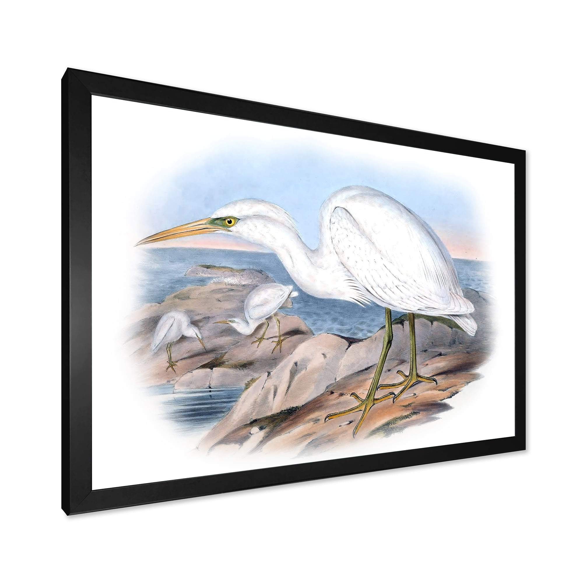 Designart 'Ancient Australian Birds XIII' Traditional Framed Art Print