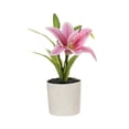 thumbnail image 1 of Toystoory Simulación decorativa en maceta, flores frescas de larga duración, plantas decorativas exquisitas para el hogar Decoración del hogar tipo+1, 1 of 6