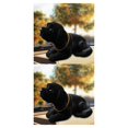 thumbnail image 1 of Wosthever Bobble Head Dog Rocking Head Ornaments Puppy for Auto Dashboard Home Gift Type1 NO1, 1 of 6