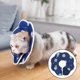 thumbnail image 3 of Collar de recuperación para gatos, cono de recuperación para el cuello de gato después de la cirugía, collar electrónico para gatos con protección de - Constelación S Sunnimix Cono de cuello, 3 of 7