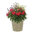 thumbnail image 2 of Suncast Langston 16 Inch Decorative Round Flower Pot Planters, Vanilla (2 Pack), 2 of 3