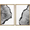 thumbnail image 3 of PixonSign Framed Wall Art Set Duotone Trees Ring Detail Print Nature Wilderness Mixed Media Farmhouse/Country Artwork Vintage Canvas Print Wall Decor for Room, Entryway - 16"x24"x2 Panels Natural, 3 of 5