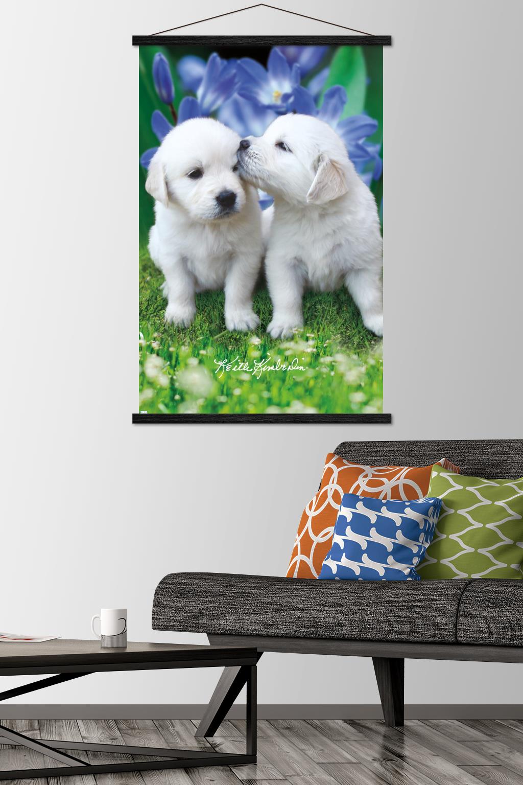 Keith Kimberlin - White Golden Retriever Puppies Wall Poster with Wooden Magnetic Frame, 22.375" x 34"