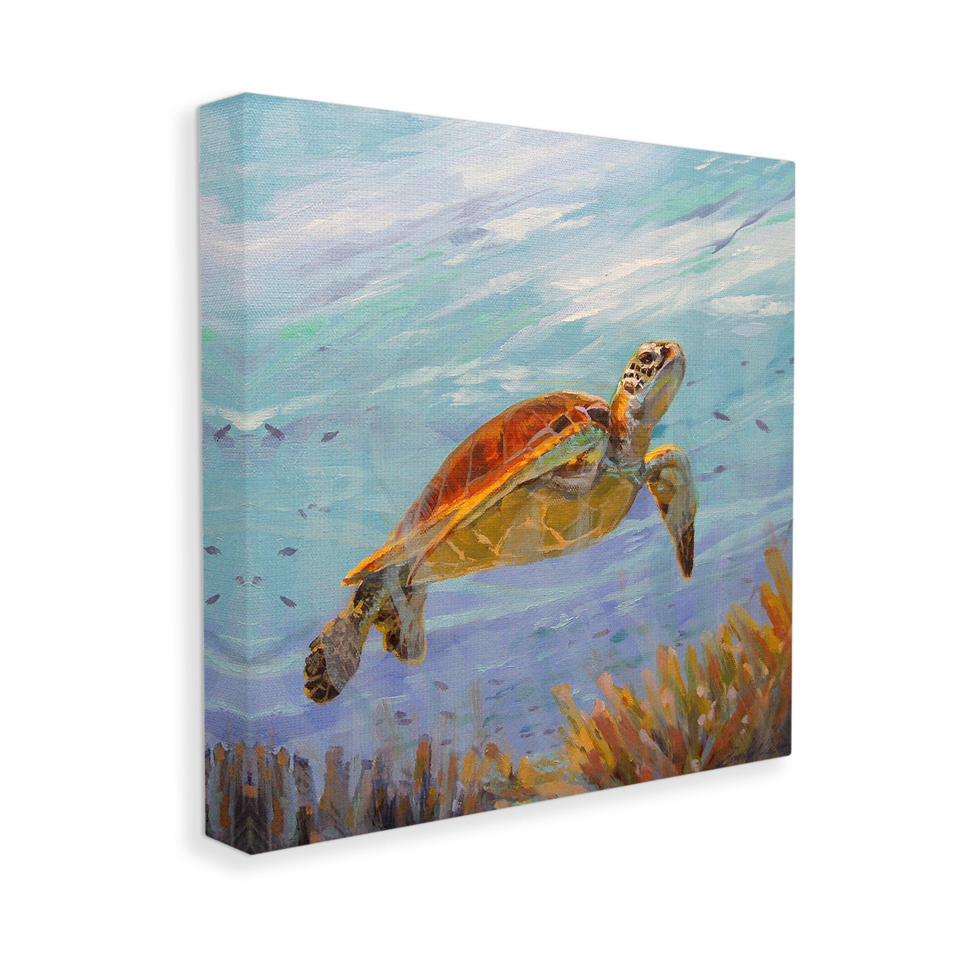 Stupell Industries Turtle Among Coral Reef Animals & Insects Painting Gallery Wrapped Canvas Art Print Wall Art, 17 x 17