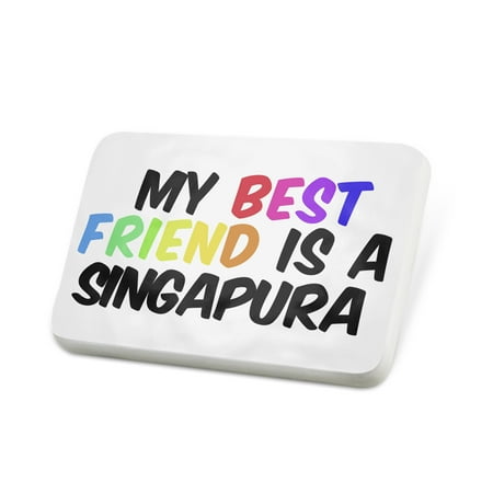 Porcelein Pin My best Friend a Singapura Cat from Singapore Lapel Badge –