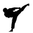 thumbnail image 2 of Karate Wall Decal by Wallmonkeys Peel and Stick Graphic (36 in H x 34 in W) WM214258, 2 of 4