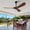 Black 1, variant on Ceiling Fan with Lights 42 Inch Flush Mount Ceiling Fan with Remote Control, ABS Blades Modern Outdoor Ceiling Fans for Bedroom/Farmhouse/Patio/Indoor, Quiet DC Motor