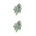 thumbnail image 4 of Billuyoard Decoraciones realistas para terrarios - Apariencia realista Plantas de bajo mantenimiento Hoja de taro artificial hoja de malanga 2Conjunto, 4 of 6