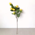 thumbnail image 5 of Fake Lemon Branch,Artificial Lemon Branch 65cm Artificial Lemon Branch Lemon Branches True to Its Promise, 5 of 5