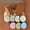 Set C, variant on 1 Set, Rolling Knife Sharpener, Fixed Angle Knife Sharpener, System Kit With Tumbler Diamond Grinding Stone, Grinding Apparatus With 15 And 20 Degrees, Kitchen Supplies