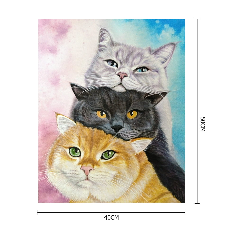 Pintar por Numeros Adultos Animal, Gato Pintar por Numeros 30x40cm Lienzo Sin Marco, 1pcs DIY Paint by Numbers con 3 Pinceles y Pigmento Acrílico Cuadros Decoracion Salon Modernos Regalo Mujer,Cod1-71 Pintar por Numeros Adultos Animal, Gato Pintar por Numeros 30x40cm Lienzo Sin Marco, 1pcs DIY Paint by Numbers con 3 Pinceles y Pigmento Acrílico Cuadros Decoracion Salon Modernos Regalo Mujer,Cod1-71