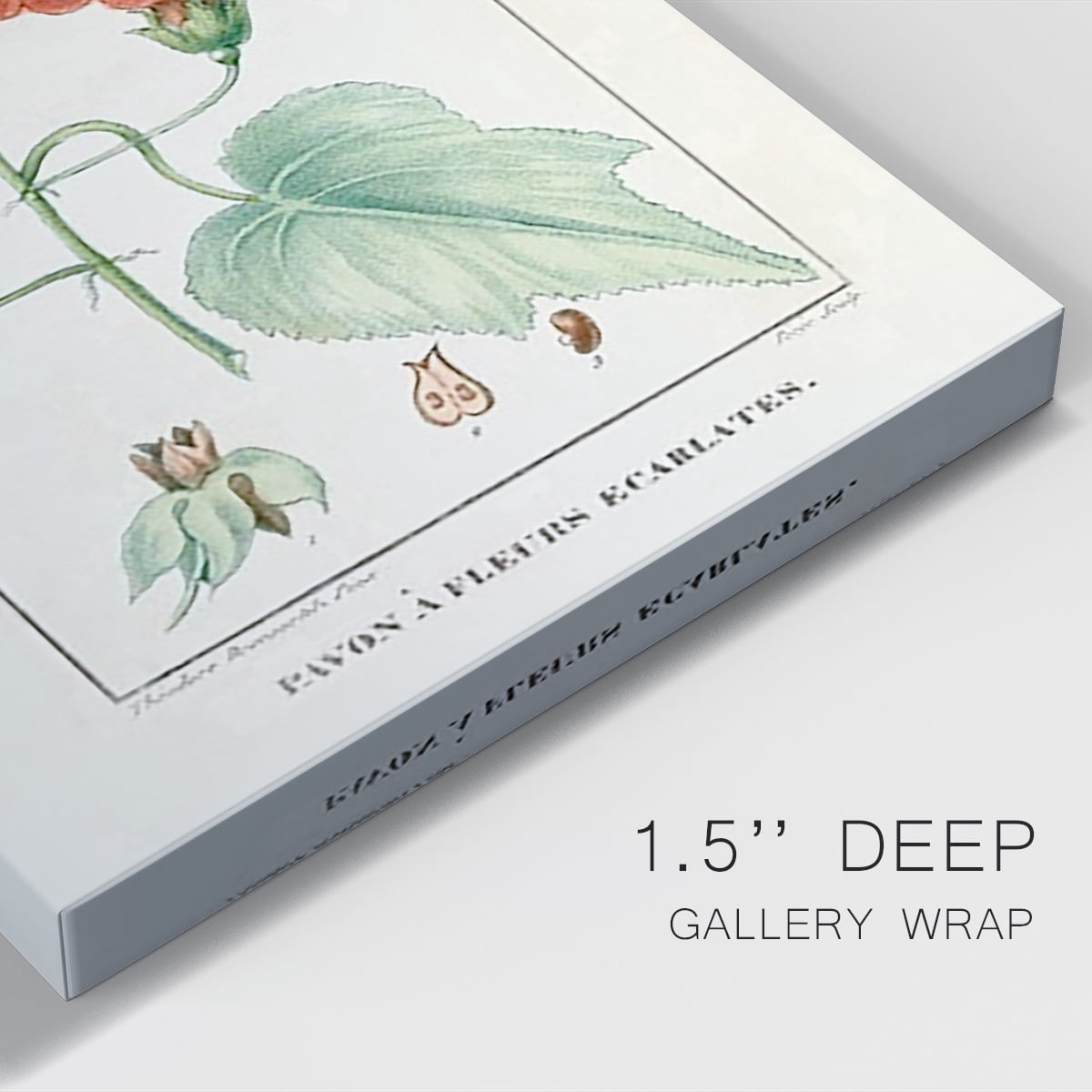 Turpin Tropical Botanicals IV Premium Gallery Wrapped Canvas - Ready to Hang