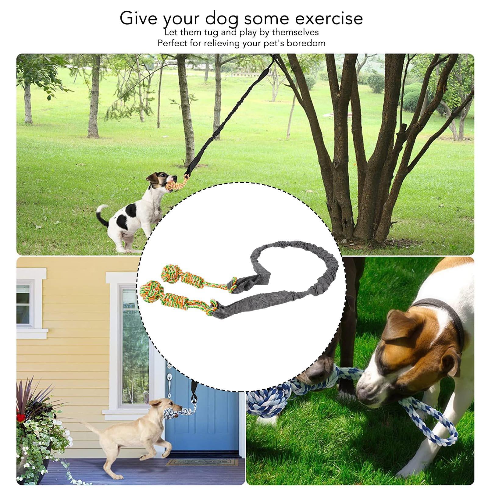 BIMZUC Durable Dog Tug Rope Toy with Bite‑Resistant Hollow Webbing, Teeth‑Grinding Rope Ball, Interactive Hanging Play for Indoor & Outdoor Use