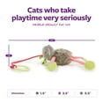 thumbnail image 4 of SmartyKat Bouncy Mouse Interactive Bungee Cat Toy, 4 of 13