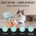 thumbnail image 6 of Tauro Pro Line Wooden Slicker Brush for Dogs & Cats, Deshedding & Detangling Tool for Medium to Long Coats, Flexible Cushion, Medium (M), Mint, 6 of 9
