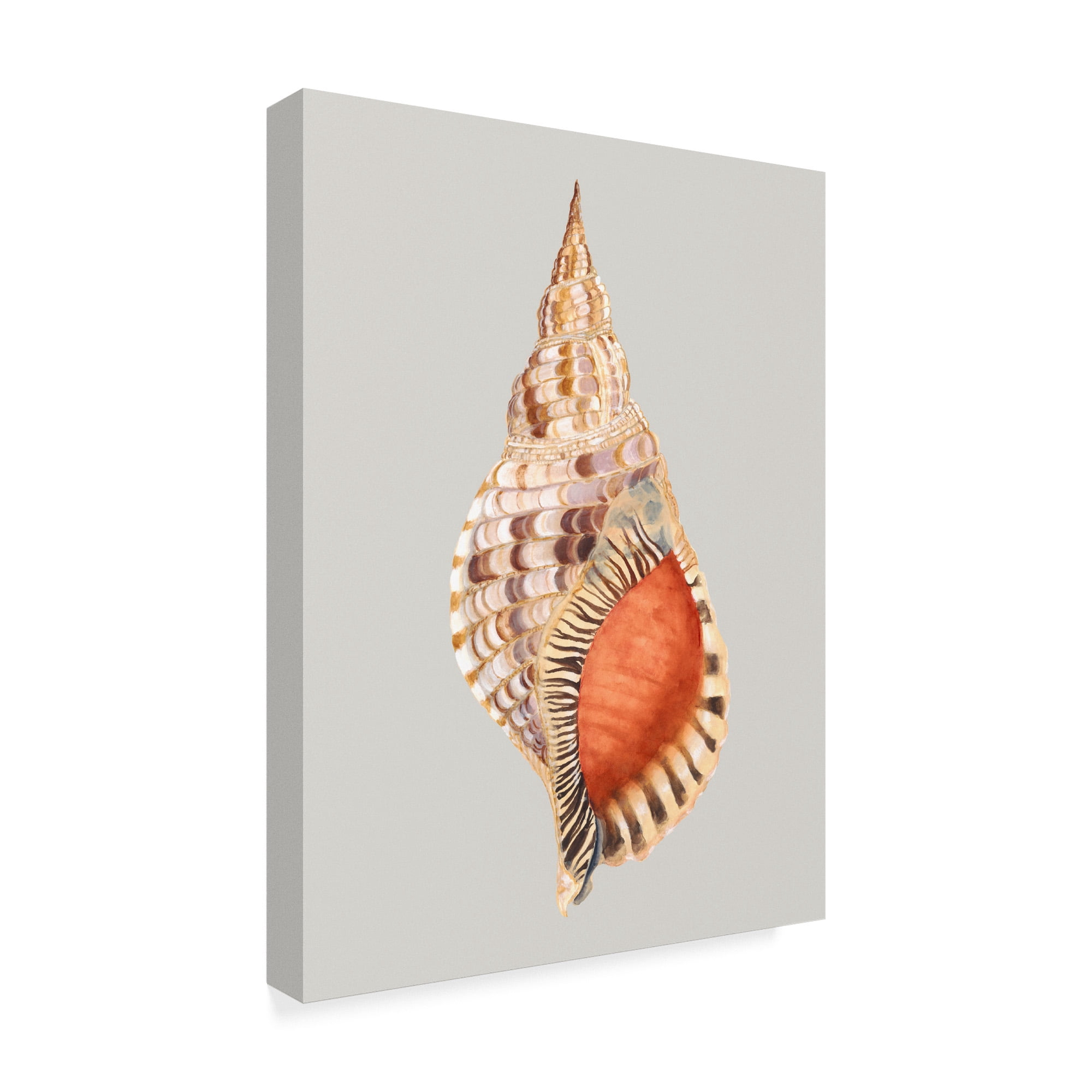 Trademark Fine Art 'Giant Triton' Canvas Art by Michael Willett