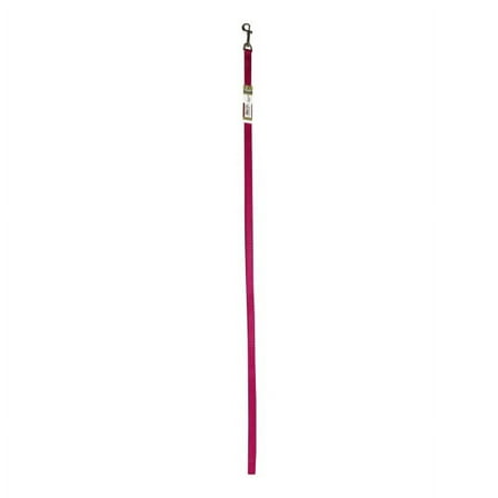Coastal Pet Single-Ply Nylon Dog Leash Flamingo - 00406 PKF06