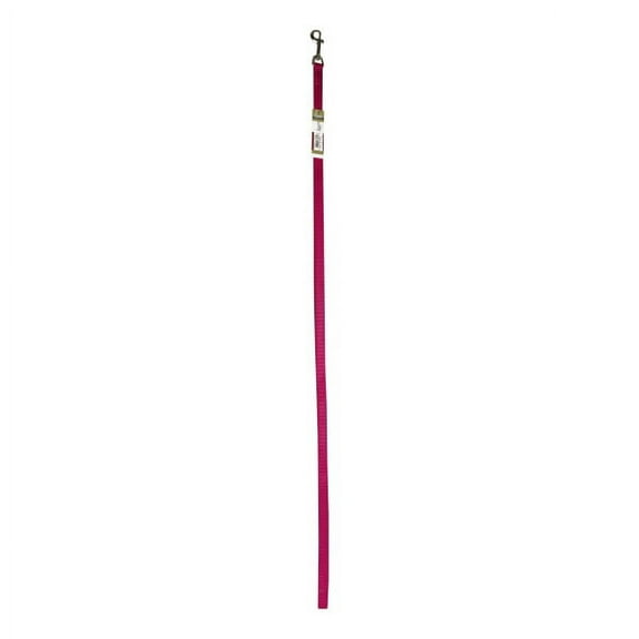 Coastal Pet Single-Ply Nylon Dog Leash Flamingo - 00406 PKF06