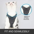 thumbnail image 2 of Escape Proof Cat Harness and Leash - Adjustable Vest Harness and Leash for Walking - Breathable Mesh - Suitable For Collapsible Bags With Cationic Fabrics, 2 of 7