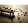 thumbnail image 2 of Alan Hausenflock 18x13 Gallery Wrapped Canvas Wall Art Titled - Feeding the Geese II, 2 of 4