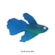 thumbnail image 2 of Methold Gel de sílice, pez falso suave, Flexible y realista, pequeño, para paisajismo, decoración de acuario decoración del acuario azul, 2 of 6