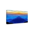 thumbnail image 2 of Trademark Fine Art 'Nature Collection 28' Canvas Art by Ata Alishahi, 2 of 3