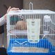 thumbnail image 3 of Comedero de heno para conejos, cobayas, dispensador de heno para jaulas, soporte colgante, soporte para heno para animales pequeños, comedero para conejos, cobayas, chinchillas y hurones, 3 of 8