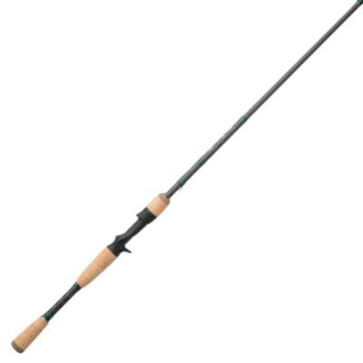 fenwick casting rods