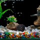 thumbnail image 4 of FELTECHELECTR Accesorio Para Acuario Para Camarones Y Bettas, 4 of 6