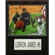 NBA LeBron James Miami Heat Player Plaque – image 2 sur 3