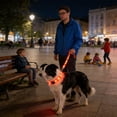thumbnail image 6 of FeiFu LED Light-Up Dog Leash USB Rechargeable Luminous Traction Rope Adjustable Reflective Pull Strap Glow in the Dark Safety Leash for Night Walking, 6 of 6