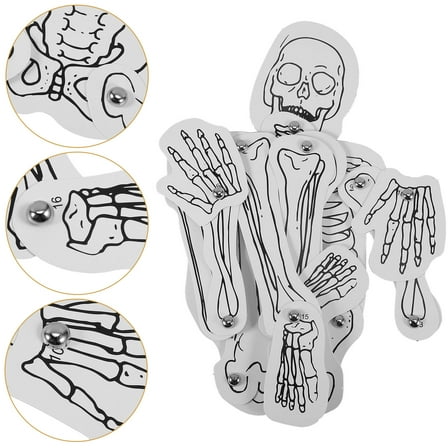 Tineasur Human Skeleton Assembly Kit with White Cognitive Material for Science Education