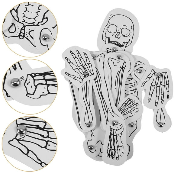 Tineasur Human Skeleton Assembly Kit with White Cognitive Material for Science Education
