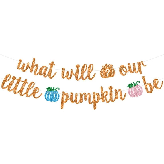 What Will Our Little Pumpkin Be Banner, Little Pumpkin Gender Reveal Hanging Decor, Thanksgiving/Halloween Fall Autumn Baby Shower Pregnancy Announcement Party Decorations Supplies