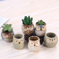 thumbnail image 5 of Maceta de cerámica con forma de búho y dibujos animados para jardinería en casa, con personalidad creativa, 5 of 5